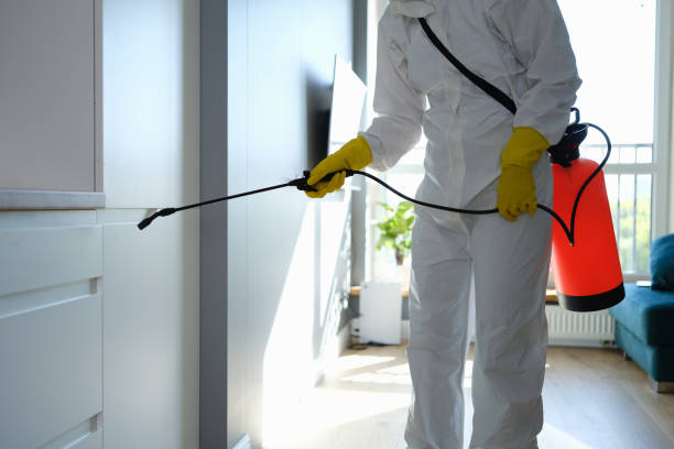 Crawl Space Mold Removal in Bonner West Riverside, MT