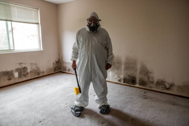 Best Crawl Space Mold Removal  in Bonner West Riverside, MT